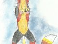 Nigerfur0001.jpg